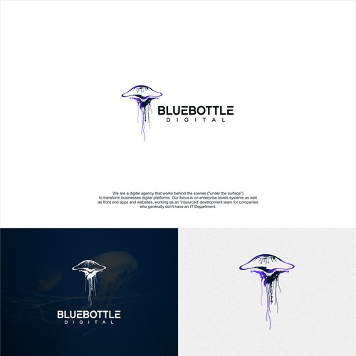 bluebottle digital