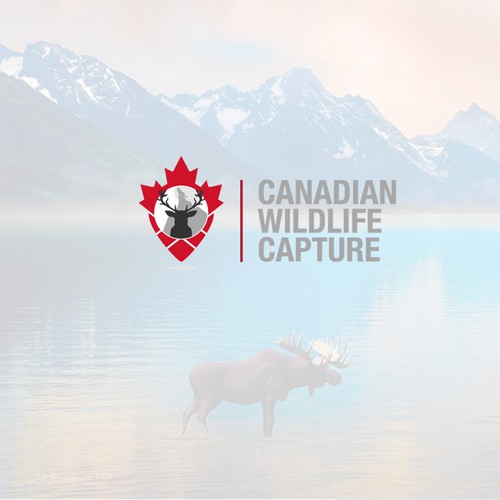CANADIAN WILDLIFE CAPTURE