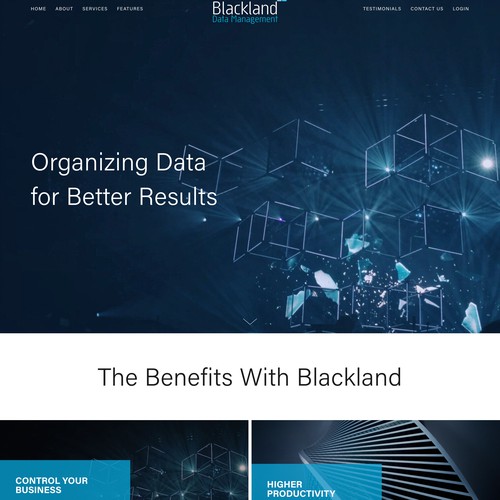 Sleek Modern Consulting Business Website