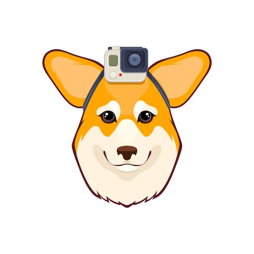 Corgi Pembroke