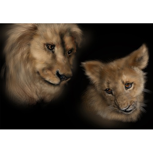 Father lion and cub Illustration
