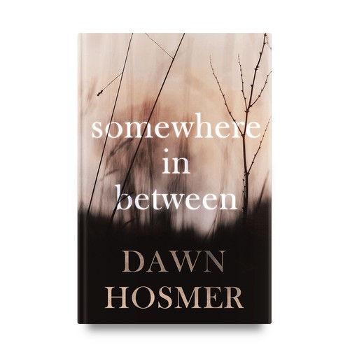 Book cover for "Somewhere in Between"