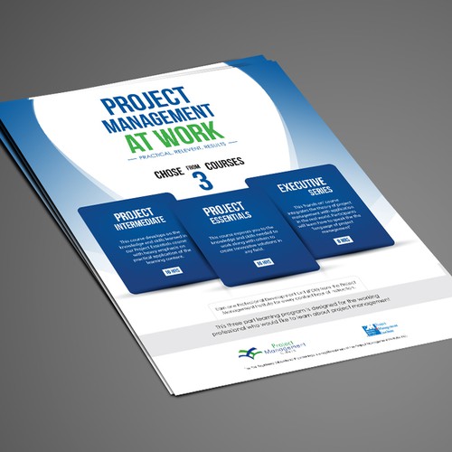 Create an infographic for Project Management Solutions Ltd