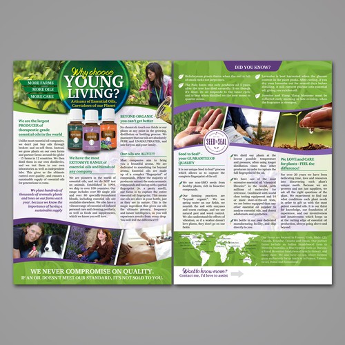 Young Living Flyer