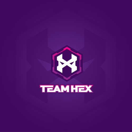 simple modern esport team identity