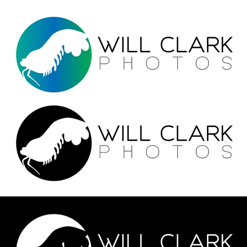 Colorful logo for photographer