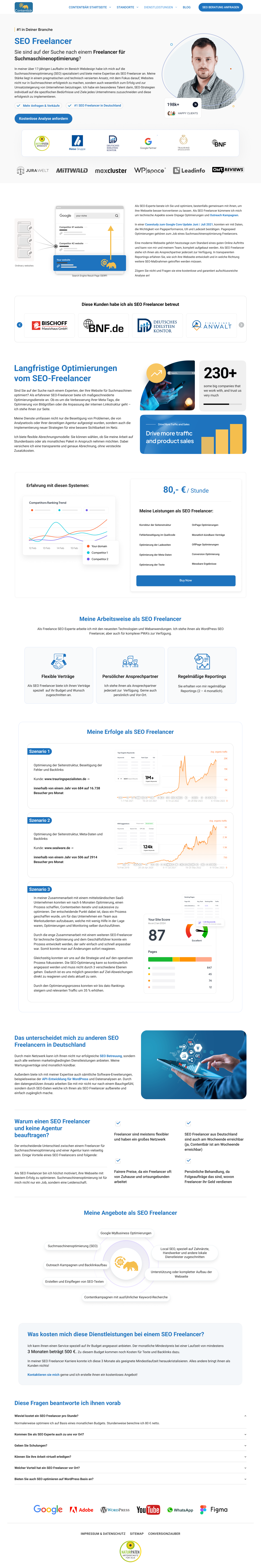 Redesign SEO / Wordpress Agency page icons and elements