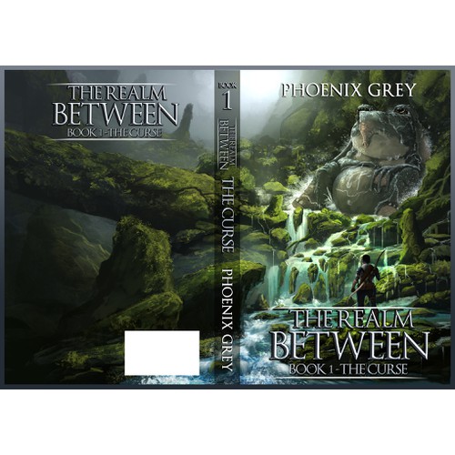 Book covers for a long running LitRPG series B1