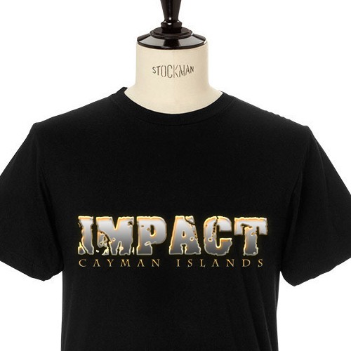 Impact 345 needs a bold and trendy t-shirt for their group of teens!