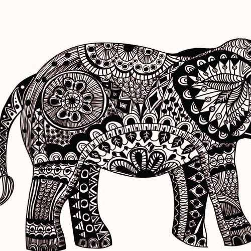  Indian elephant 