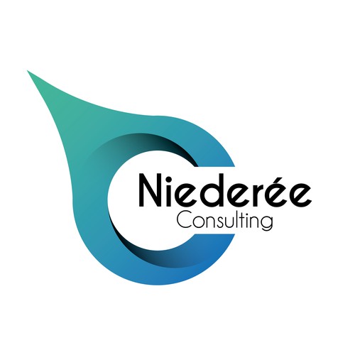 Logo concept for a Consultant 