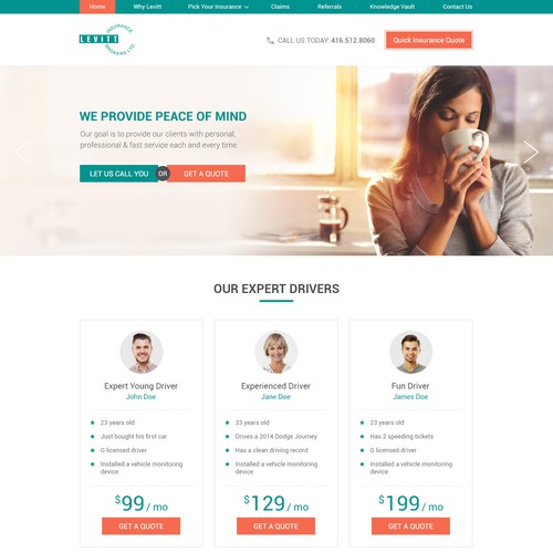 WordPress Theme Design for Insurance Company