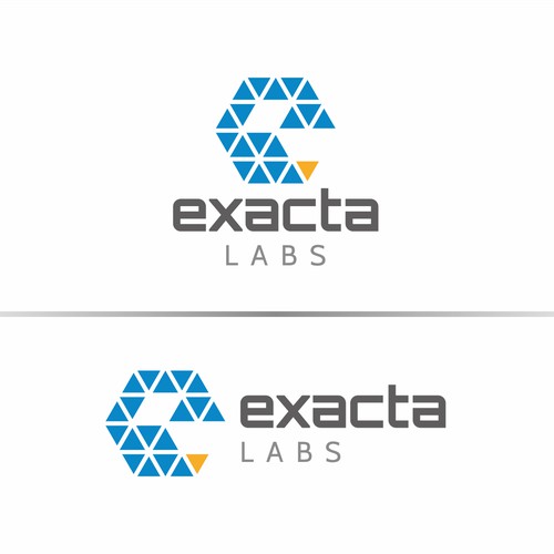 Logo for Exacta Labs