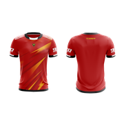 Reviewed design