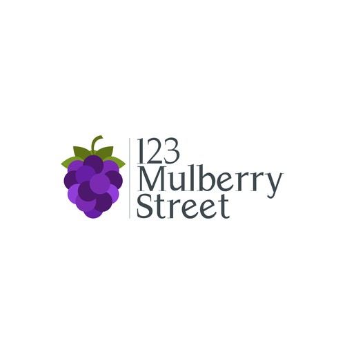 123 Mulberry Street