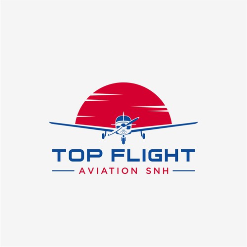 Aviation Logo