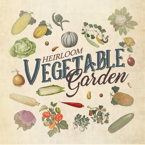 Vintage Banner & Illustration