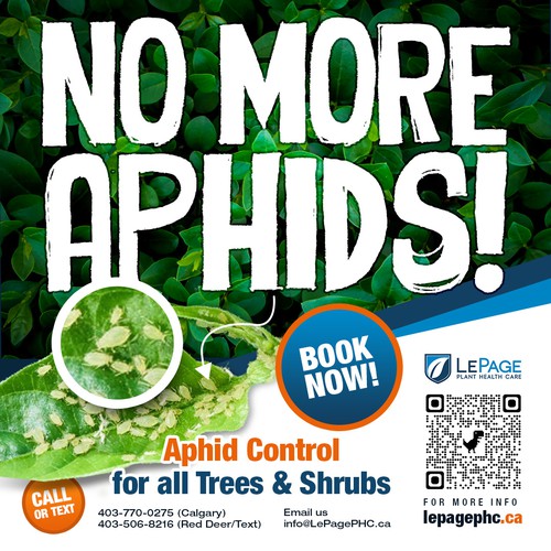 Flyer to Advertise Aphid Spraying