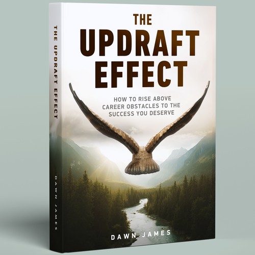 The Updraft Effect - Book cover