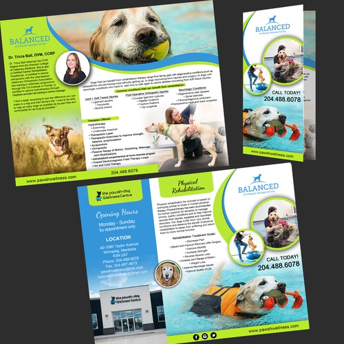 Dog Rehabilitation Brochure