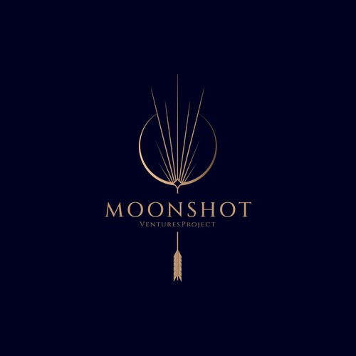 moonshot