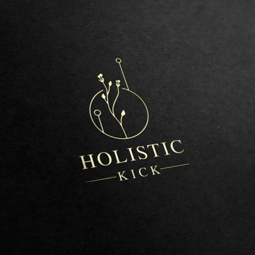 Logo for Holistic Kick