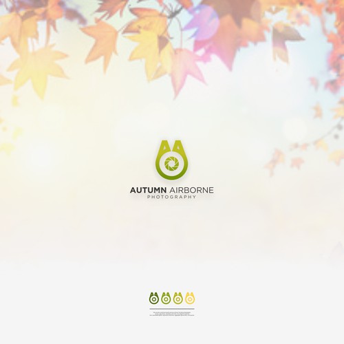 AUTUMN AIRBORNE PHOTOGRAPHY