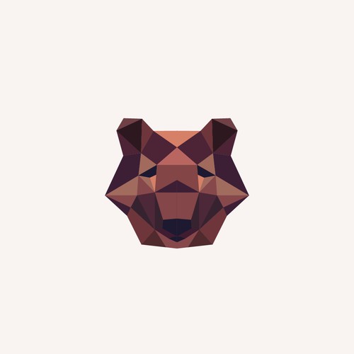 Bear geometry