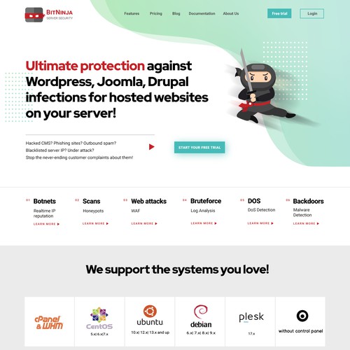 Redesign concept for Server Security company website