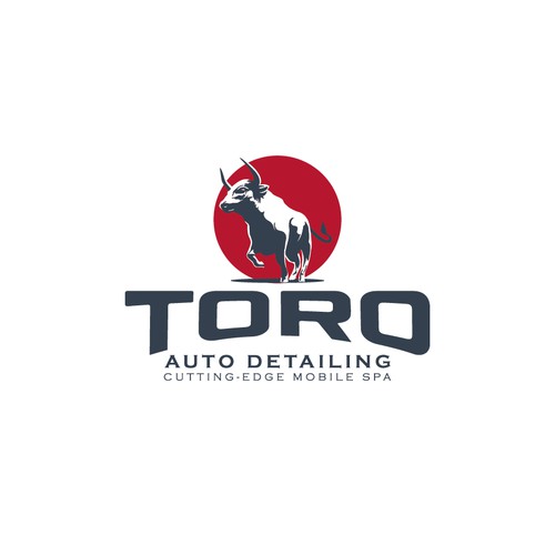 Toro Auto Detailing