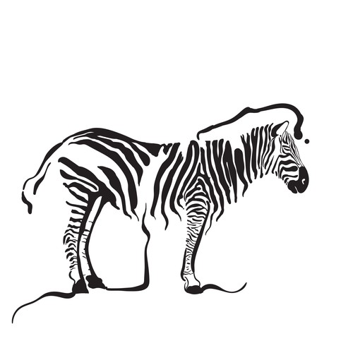 Zebra illustration