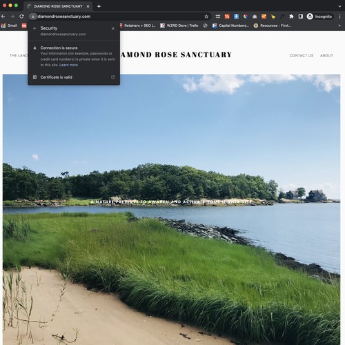 SSL Certificate for Squarespace Design