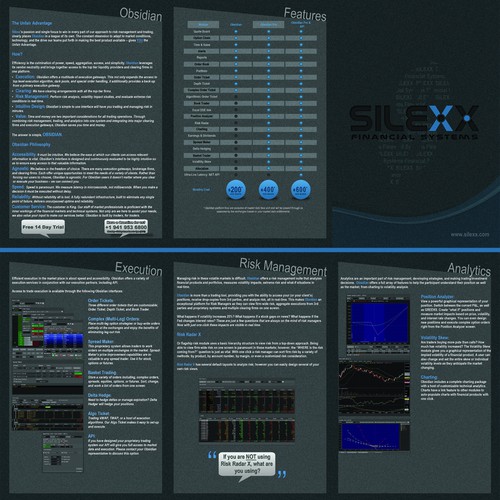 Create a brochure design for Silexx Financial Systems