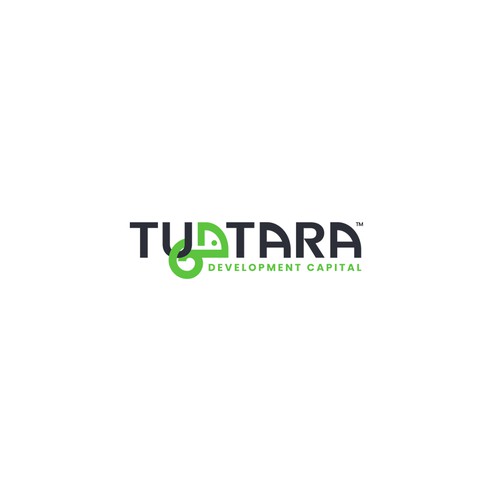 Tuatara Development Capital - Memorable and Bold Logo 