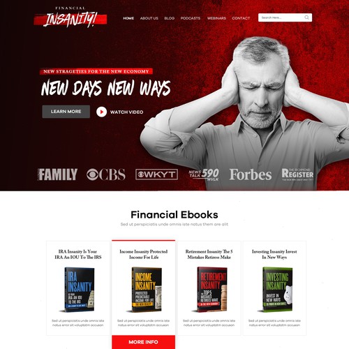 Financial Insanity WordPress Theme Design