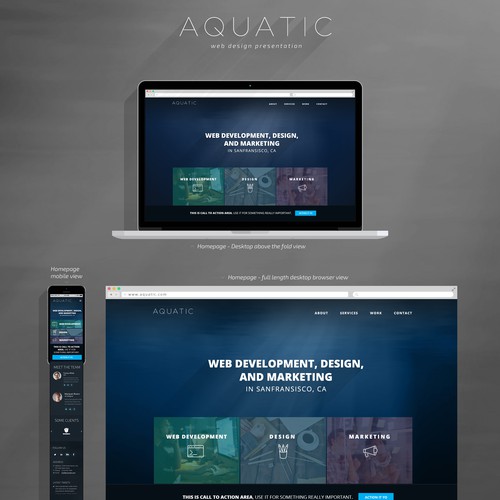 Create a website for Aquatic, a brand new development studio!