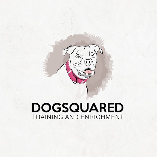 dogsquared training and enrichment