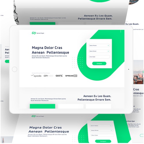 Accounting Company Landing Page