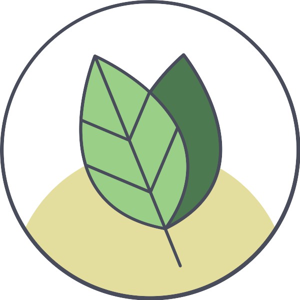 Female physician looking for a plant-based design