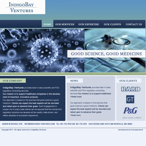 INDIGO BAY VENTURES WEBSITE