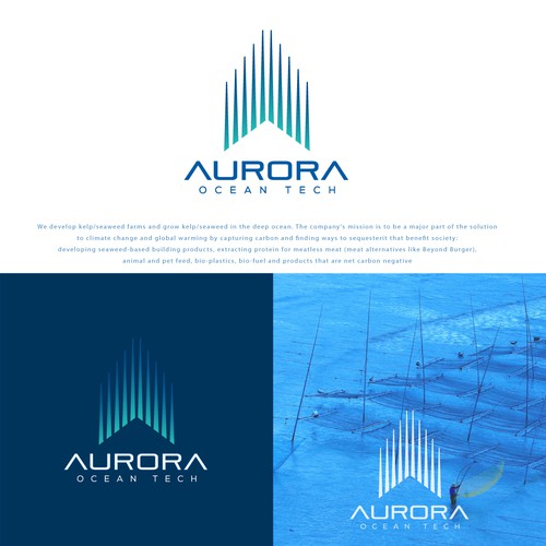 A clean and strong logo for a climate change fighting company focused on ocean solutions.