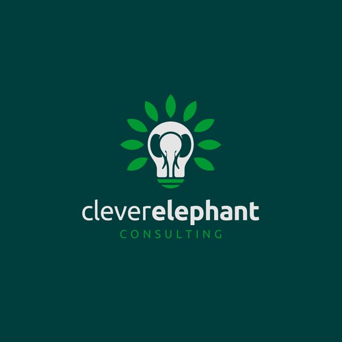 Clever Elephant Consulting