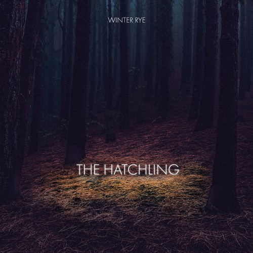 The hatchling album cover proposal