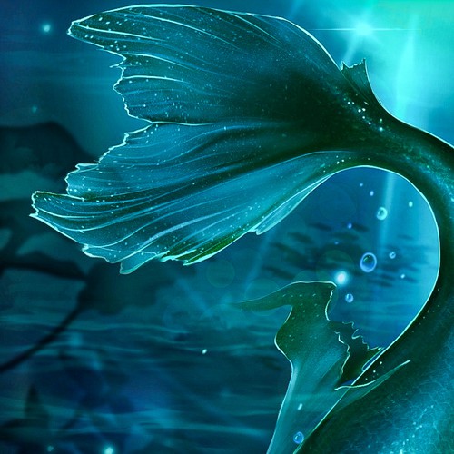 Facebook cover with mermaid’s tail
