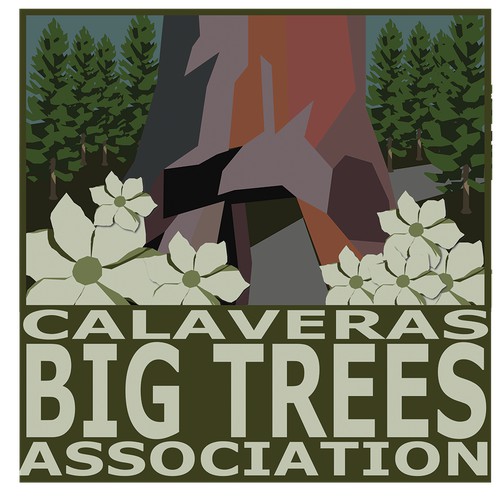 Logo Concept Design for "Calaveras Big Trees Association"