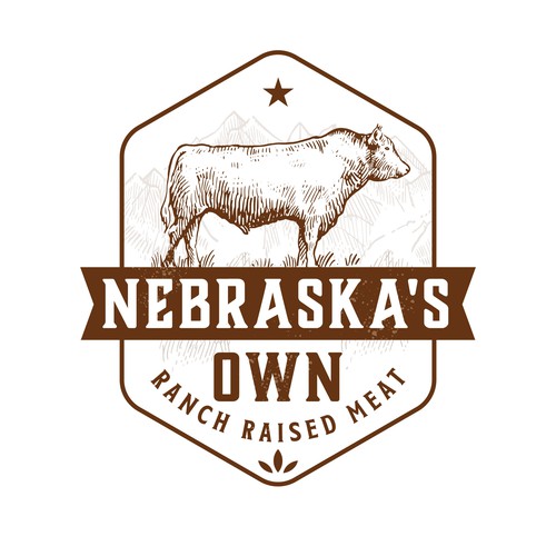 Logo for a Ranch