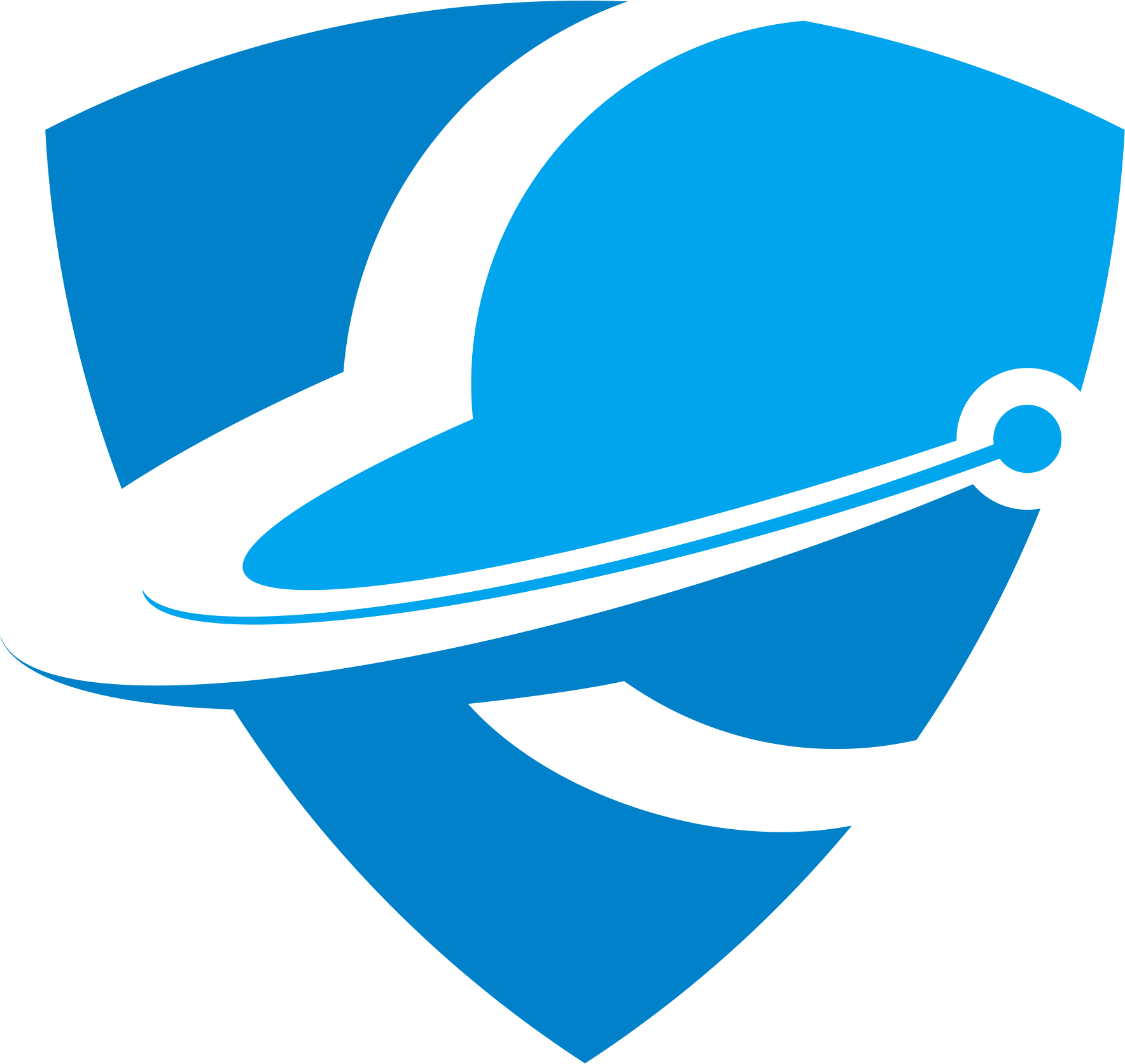 Professional logo and icons for computer system security & health experts