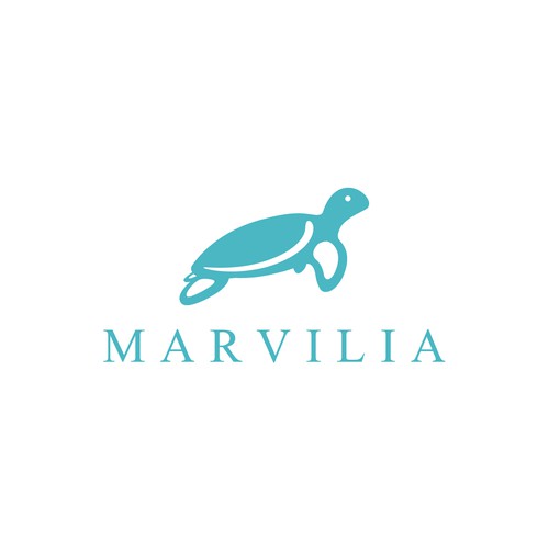Marvilia seaturtle
