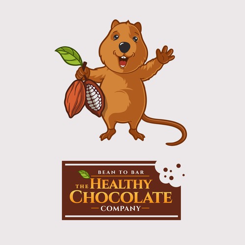 The Healthy Chocolate Company