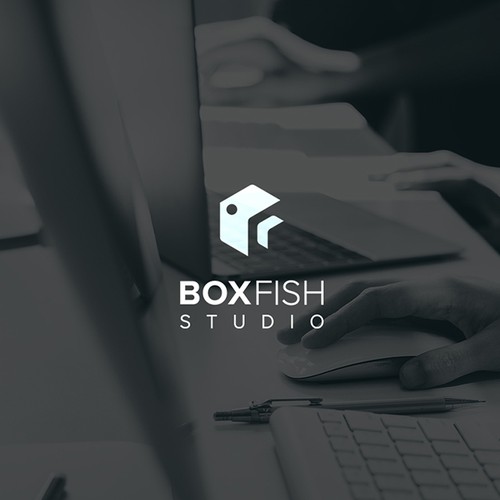BoxFish Studio Logo